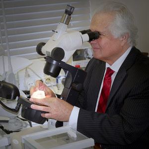 Donald Palmieri Diamond Expert Examining Lesedilarona Rough 1100ct